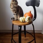 Nicolle's wooden and metal chair, 18-inch in height, ready for Halloween!