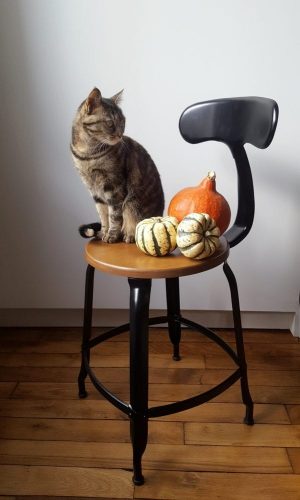 Chaises Nicolle bois et métal à Halloween