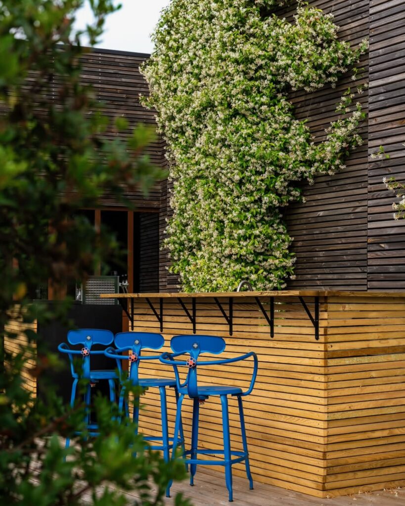Bar avec Fauteuil Nicolle bleus et mur végétal fleurie